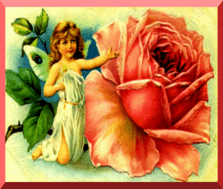 sticker_7853975_12566670