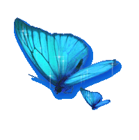 sticker_20758700_42790167