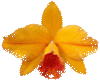 sticker_5746231_10733408