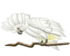 sticker_38446244_85