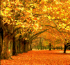 sticker_28282022_41672796