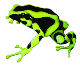 sticker_2348828_3186927