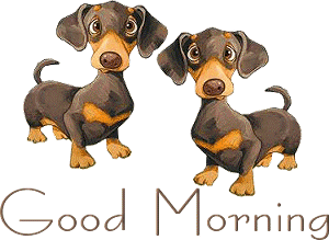 sticker_17057576_37347122