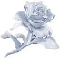 sticker_19408361_47592078
