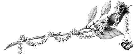 sticker_14700462_45511490