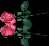 sticker_12033047_44890293