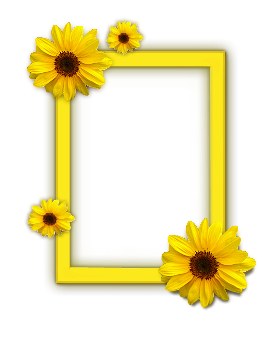sticker_10282563_19334798