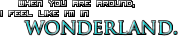 sticker_13066101_46702520