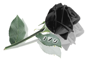 sticker_19909200_47310822
