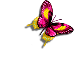 sticker_25333858_34228501