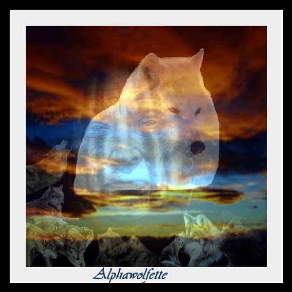 sticker_39790869_2