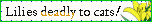 sticker_4744388_47584406