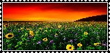 sticker_7666538_47482114
