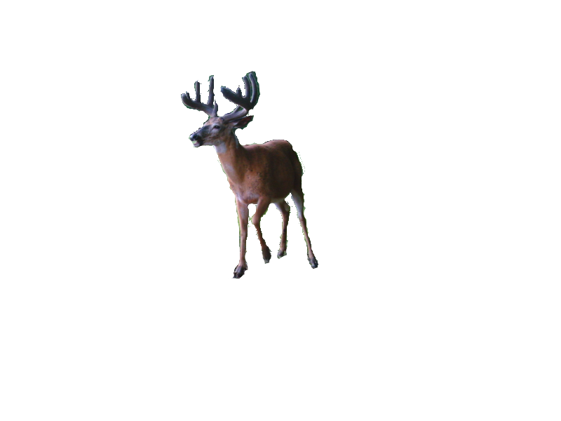 sticker_1556651_47585311