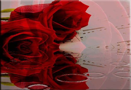 sticker_11101529_47577704