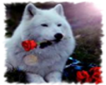 sticker_36153549_95