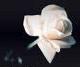 sticker_21250458_37003161