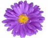 sticker_12306786_46613624