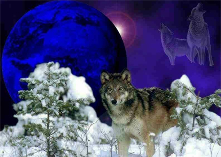 sticker_12417504_20485801