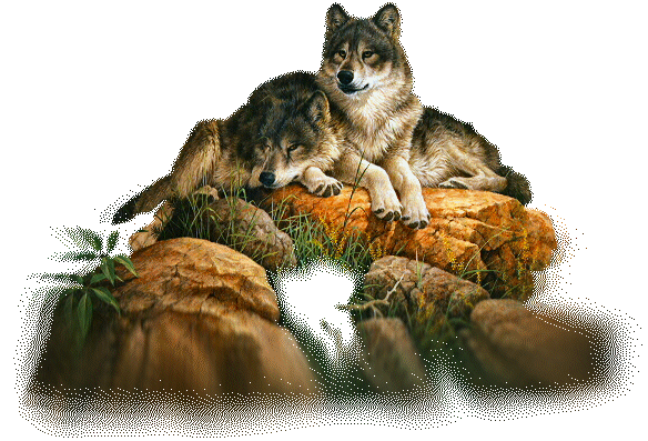 sticker_1604602_2937093
