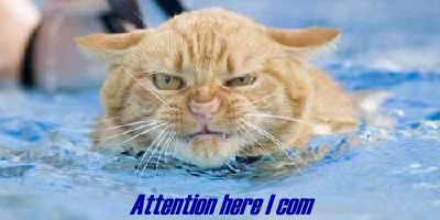 sticker_23019370_44852298