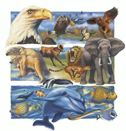 sticker_35971348_46