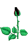sticker_23920903_37995469