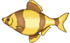 sticker_12517070_41643453