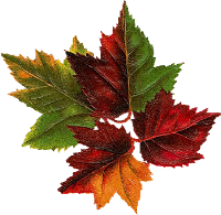 sticker_12304237_46786740