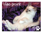 sticker_41449609_6