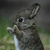 sticker_27680876_47550228
