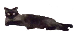sticker_14210335_24498527