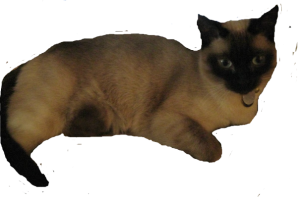 sticker_12991341_47607789