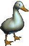 sticker_5746231_17951697