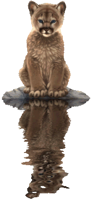 sticker_13361594_31780864