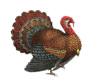 sticker_31184330_47463822