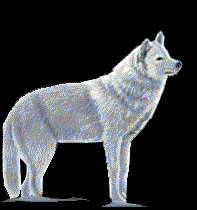 sticker_29732997_41355136