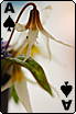 sticker_715086_47602943