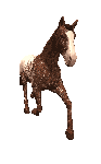 sticker_16421175_39515741