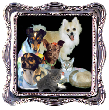 sticker_16662648_44645397