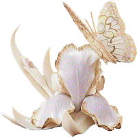 sticker_5197535_8505587