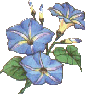 sticker_11359521_15170000