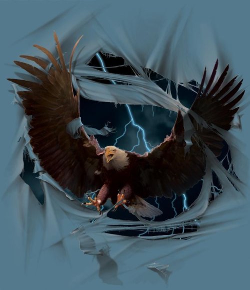 sticker_15223476_34518343