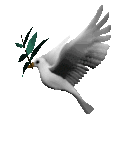 sticker_26940893_47457035