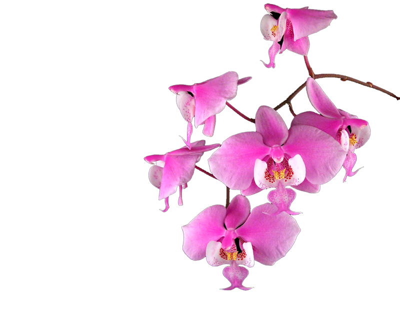 sticker_35496999_51