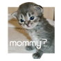 sticker_41449609_18