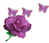 sticker_11922203_24062929