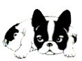sticker_22678628_43686783