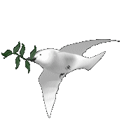 sticker_4072183_47471727