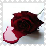 sticker_19020867_36616429